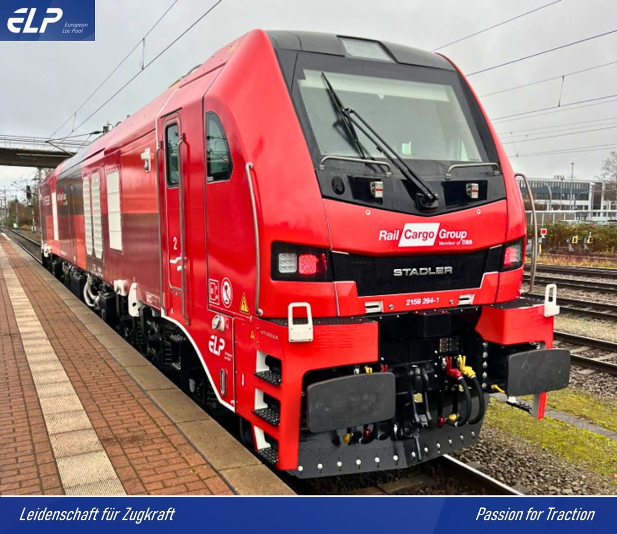 ELP EuroDual RCG