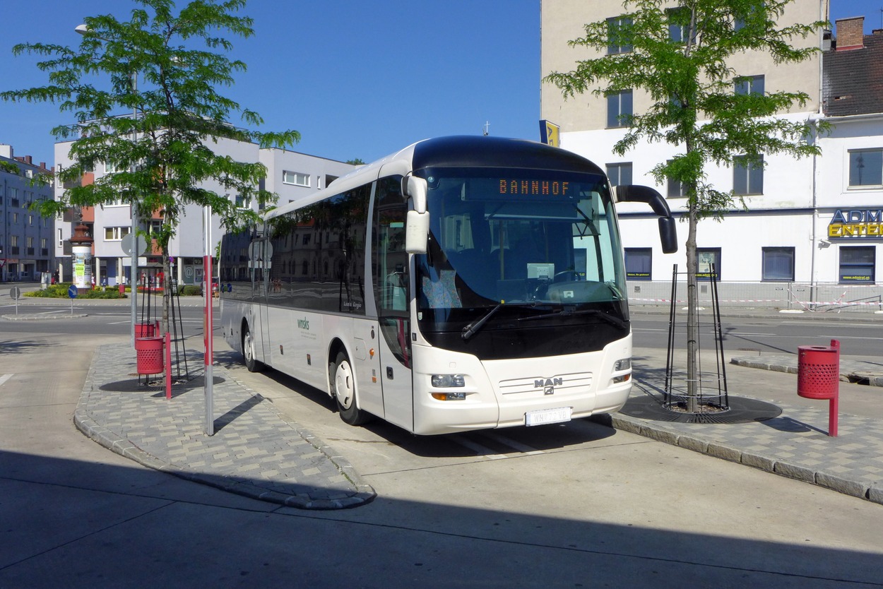 Linienbus der Wiener Neustädter Stadtwerke
